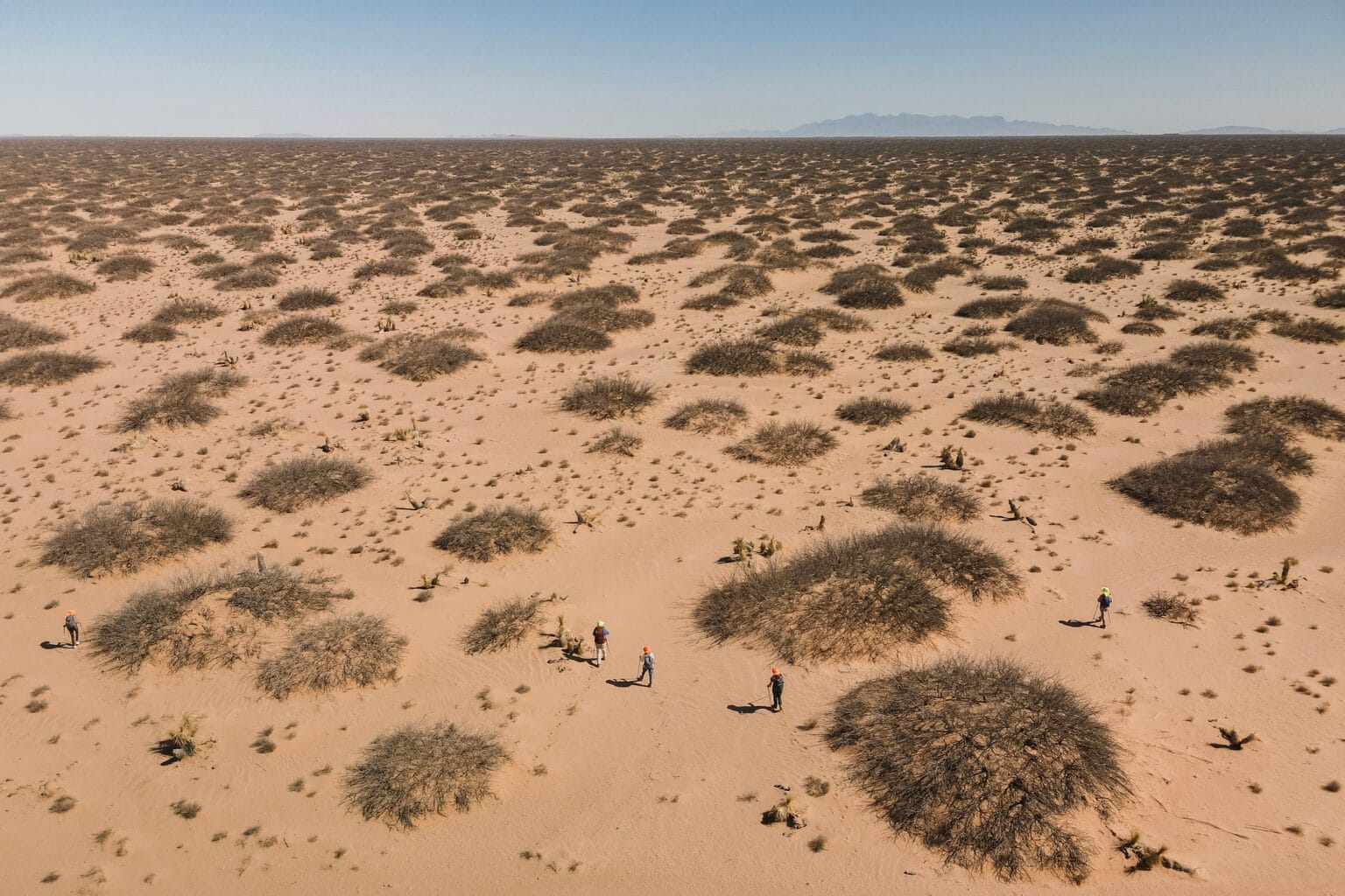 Six volunteers in bright clothing and hats walk in formation across a vast, arid desert landscape dotted with low shrubs near Santa Teresa, New Mexico, during a search for migrant remains.