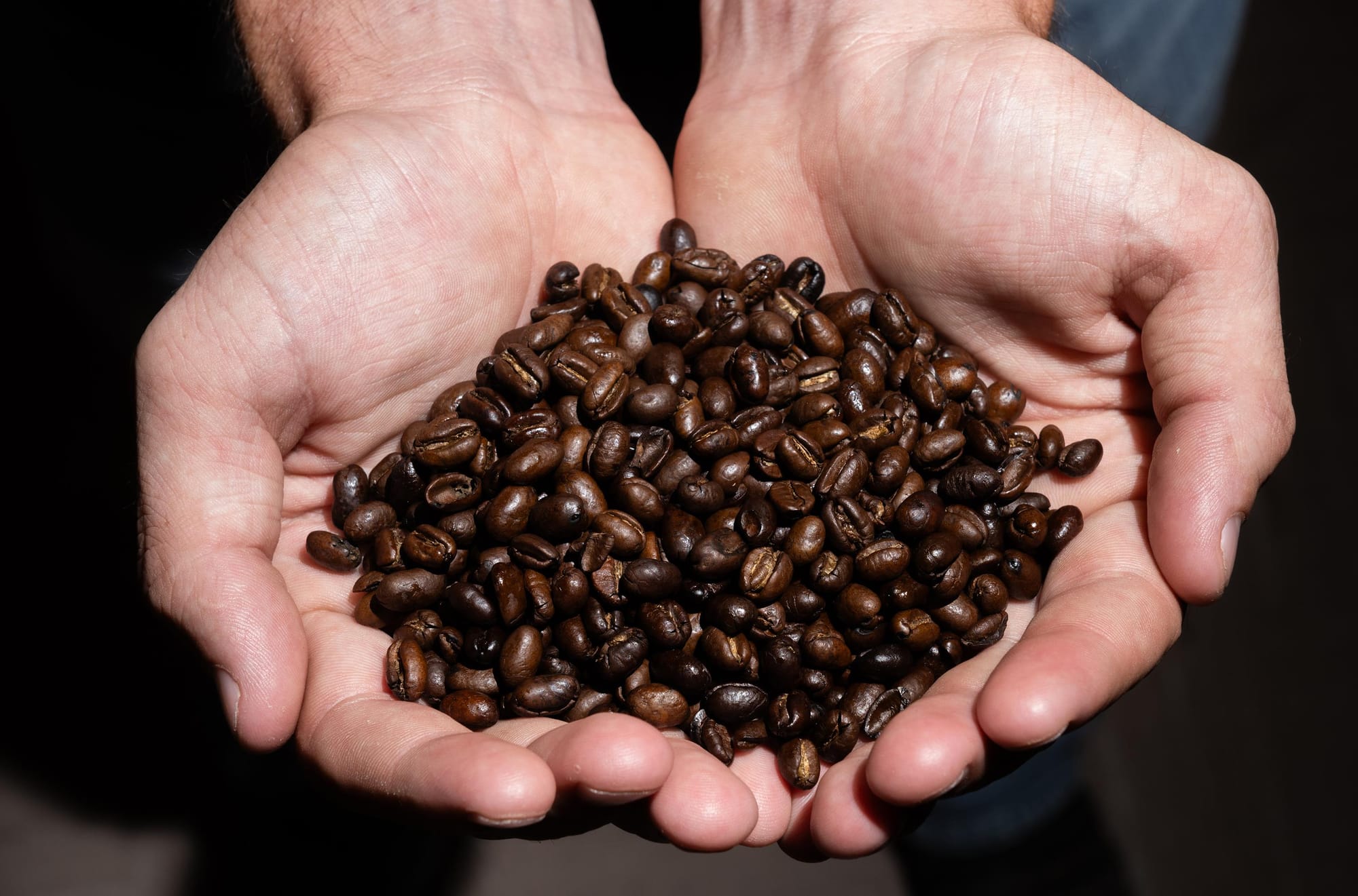 A pair of cupped hands holds a pile of roasted coffee beans.