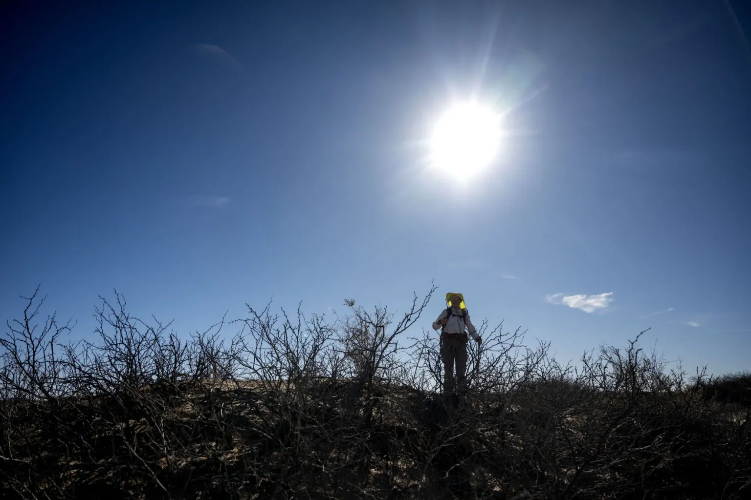 A person wearing a wide-brimmed hat walks through desert brush beneath a bright sun in a clear sky.