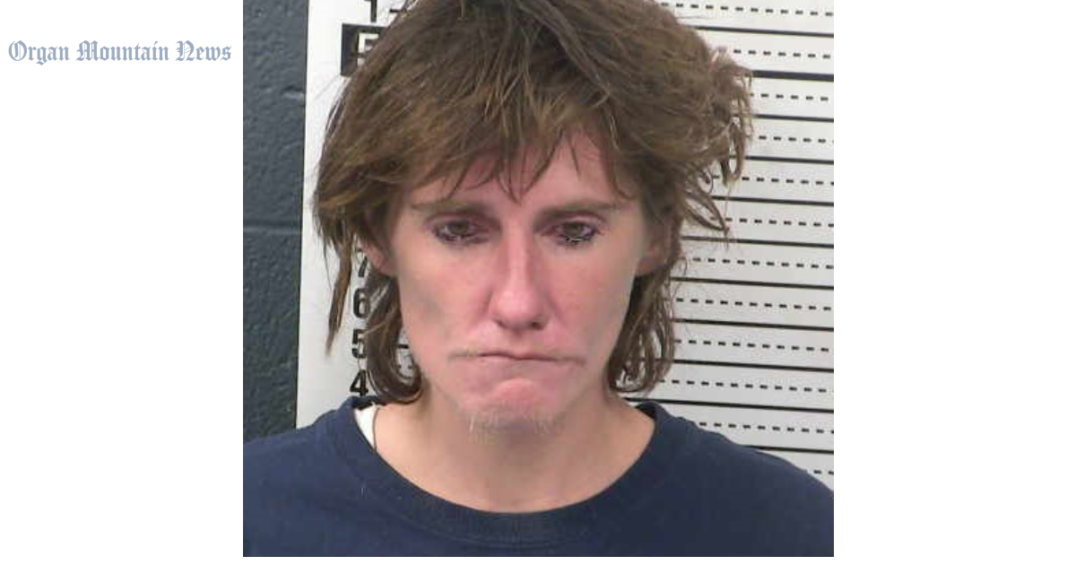 Judge orders repeat offender held without bond pending trial