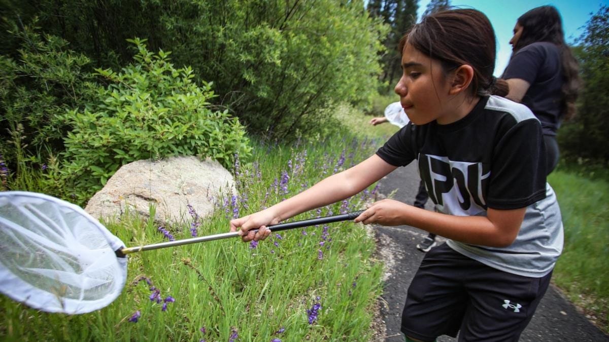 State outdoor grants help Las Cruces domestic violence shelter offer nature-based programs for youth