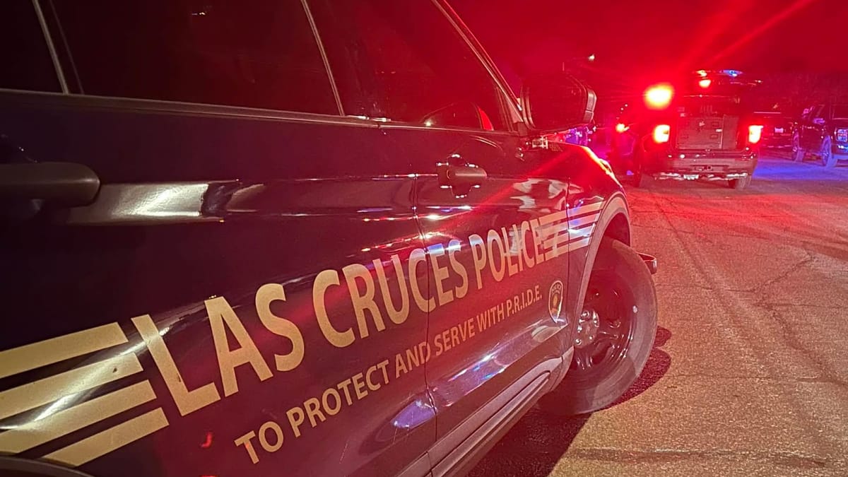 Las Cruces woman accused of fleeing police while driving drunk, nearly hitting pedestrians twice
