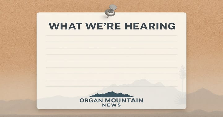 What we're hearing this week: special ed stipends, Young Park and I-10 dust crashes