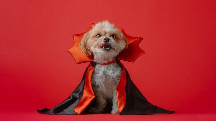 Doña Ana County Humane Society plans ‘Howl-O-Ween Yappy Hour’ fundraiser Oct. 28