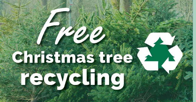 Christmas tree recycling event set for January 4 in Las Cruces