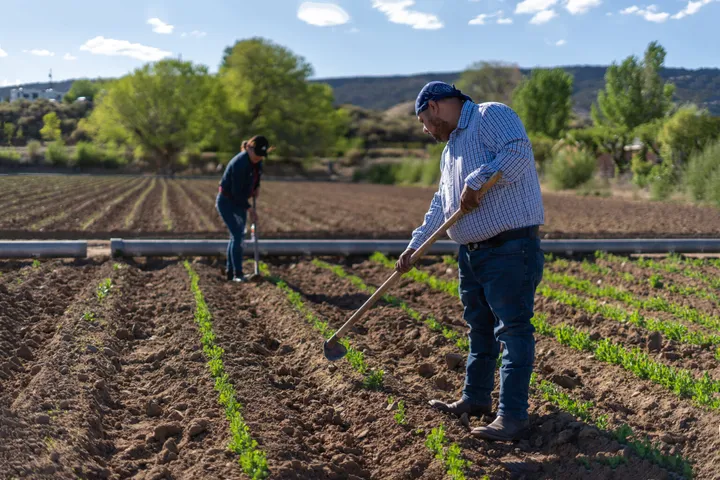 Farmers, food banks decry program loss