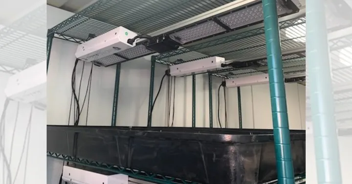 Hydroponic growing system with LED lights and planting trays inside a modified container unit developed by DACC and NMSU for agricultural research and demonstrations.